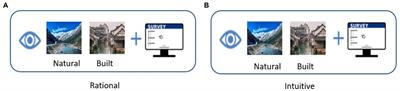 The effect of visual attention process and thinking styles on environmental aesthetic preference: An eye-tracking study